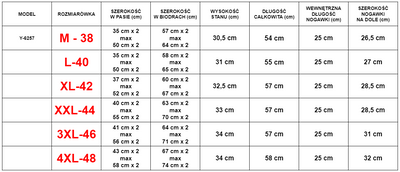 Серые мужские спортивные шорты с лампасами