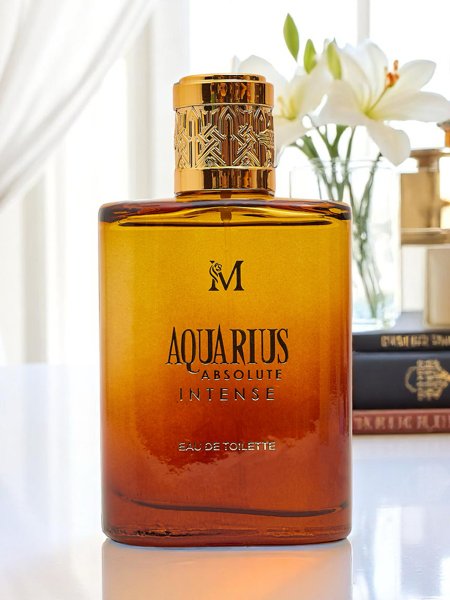 Įkvėptas vyrams skirtas kvapusis vanduo Aquarius Absolute