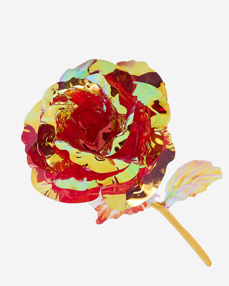 "Royalfashion" Amžinoji rožė