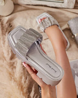 sidabras || paukščių pilka