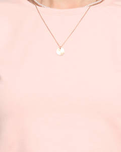 Šviesiai rožinė || rožinis