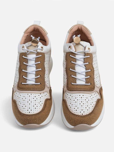 Royalfashion Moteriški Wedge Sportbačiai Zerrni