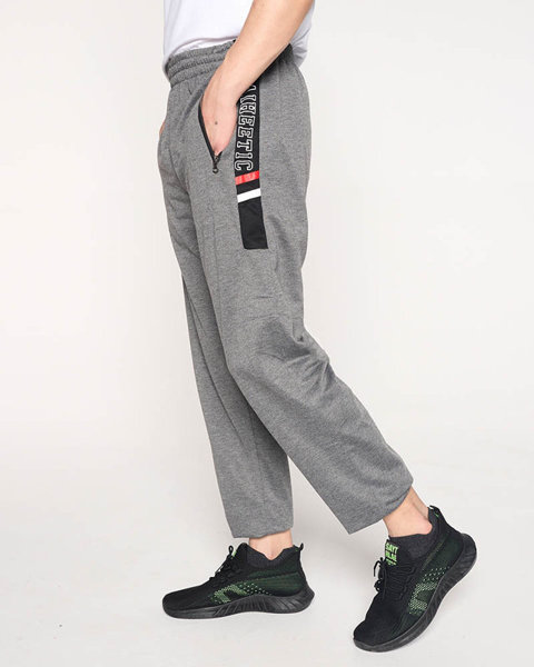 Vyriškos pilkos spalvos sportinės kelnės su užrašais - Drabužiai